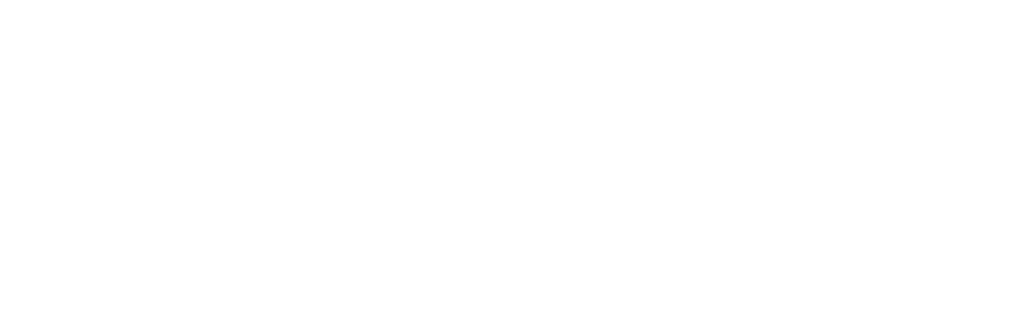 Alza Consultores